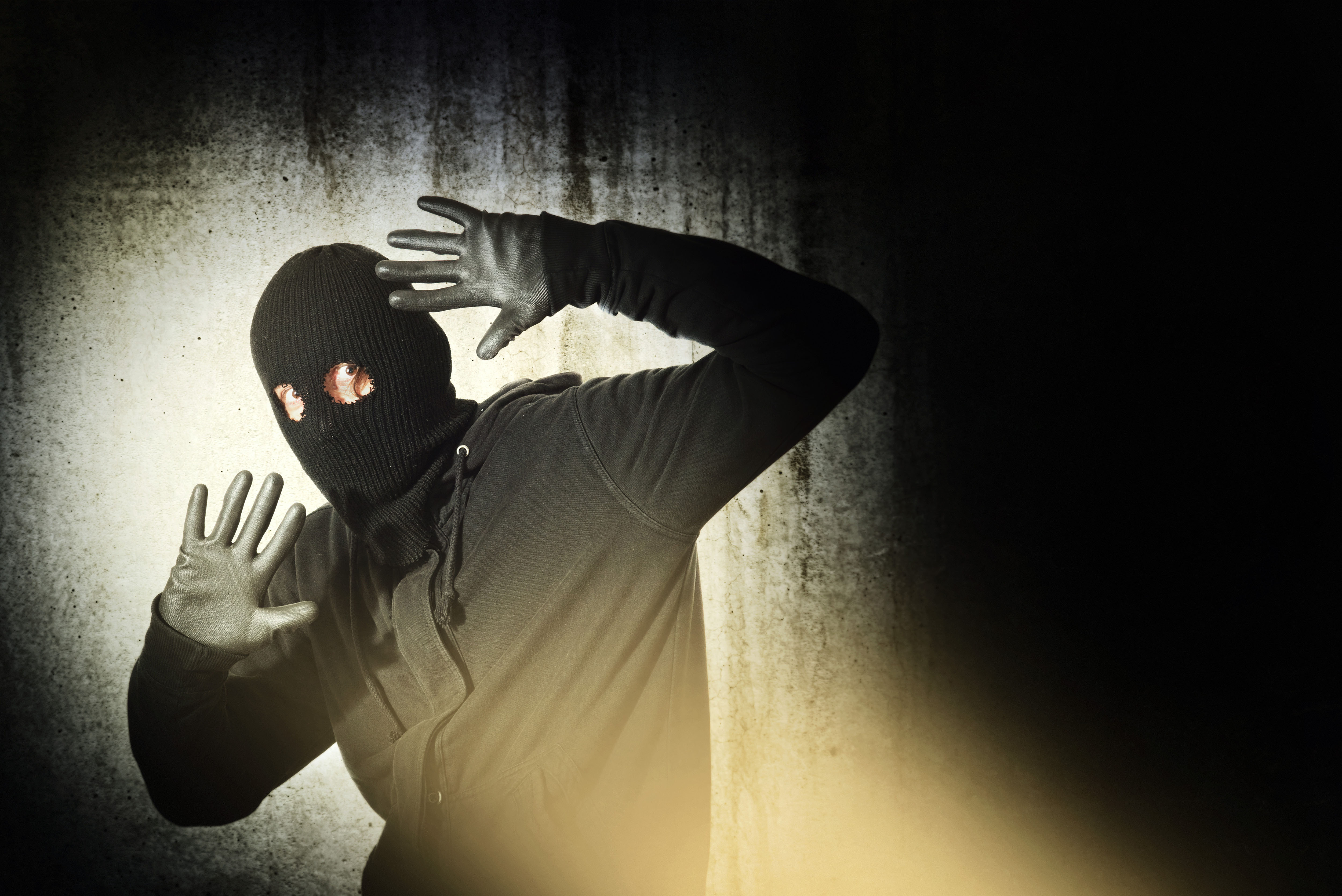 Burglar